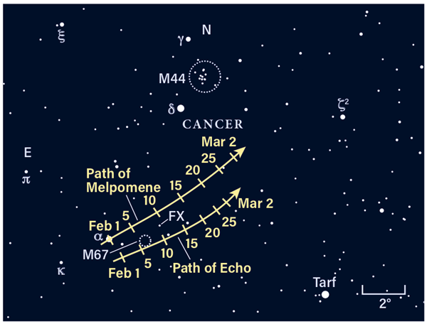 Paths of asteroids Melpomene and Echo, February 2021