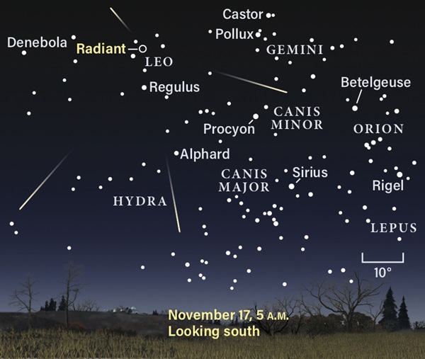 Star chart showing the Leonid meteor shower radiant
