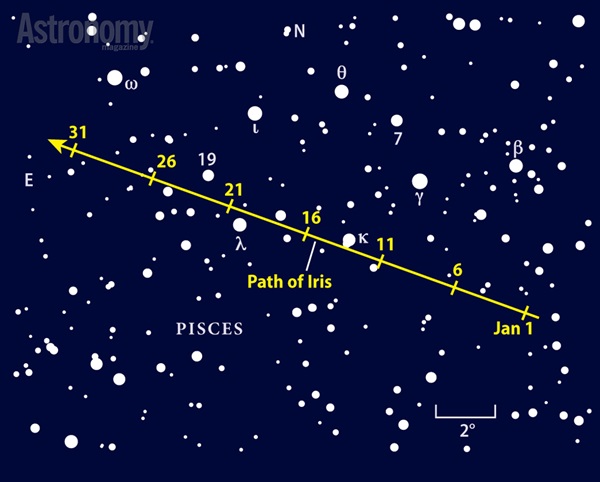 Asteroid 7 Iris glows at 10th magnitude in the constellaltion Pisces in January