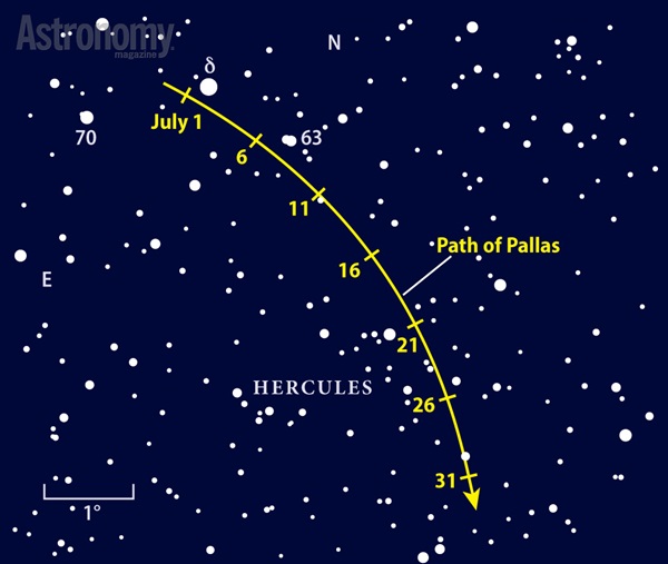 Look for Pallas within 0.3° of 3rd-magnitude Delta (δ) Herculis on July 1 and 2; you’ll have a tougher search among fainter stars late in the month.