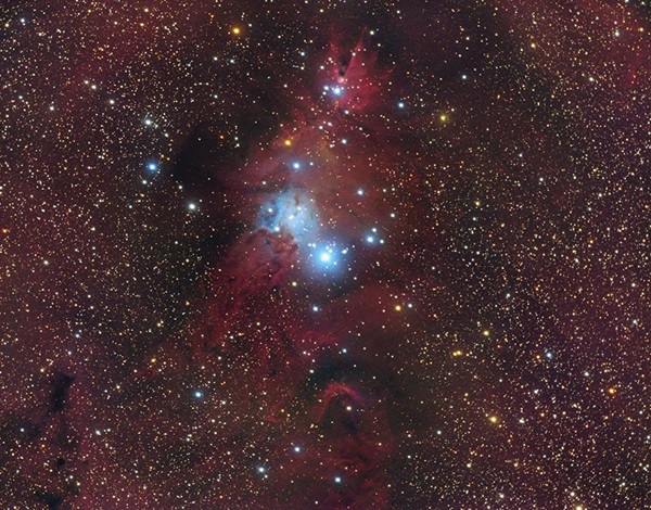 Christmas Tree Cluster and Cone Nebula
