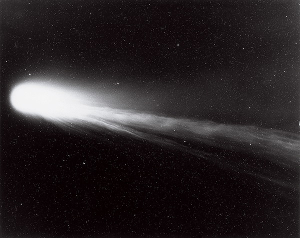 Comet 1P/Halley