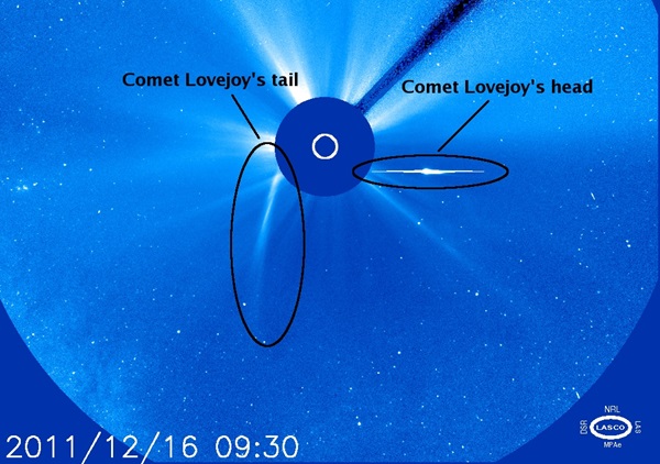 Comet-Lovejoy-survives