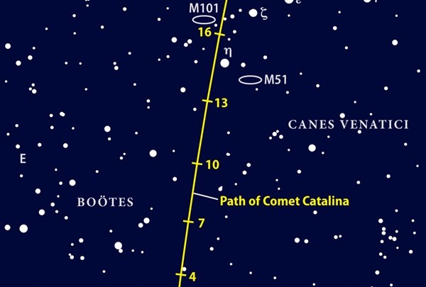 Comet Catalina passed by golden Arcturus in January.