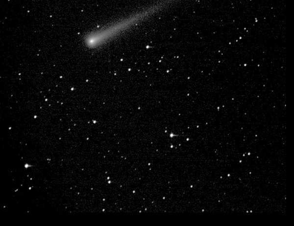 Comet ISON imaged November 9 by Micro-Observatory