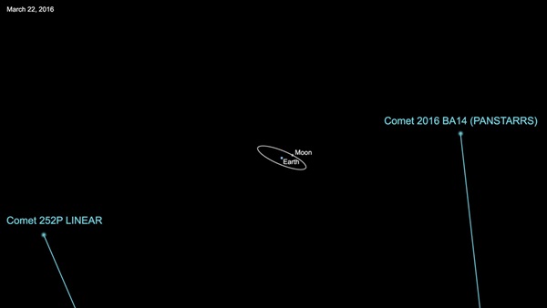 Comet LINEAR and  Comet PANSTARRS