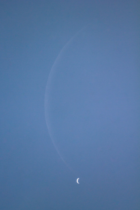 Crescent Moon occulting crescent Venus