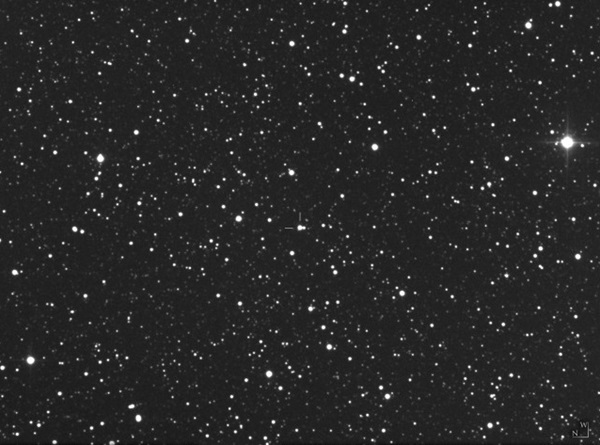 Nova PNV J20214234+3103296 in Cygnus