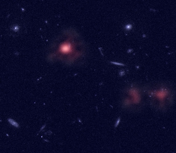 EVLA radio image of galaxy GN20