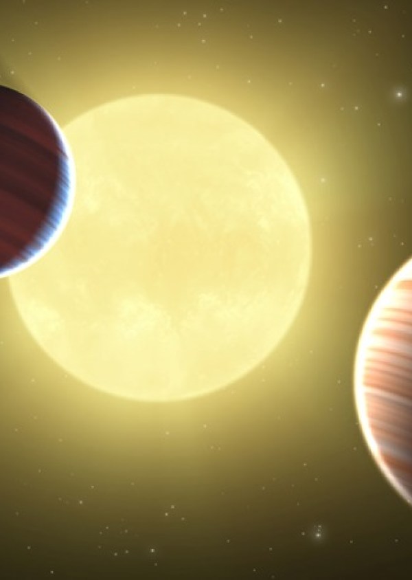 New research finds that exoplanets can be divided into three groups – terrestrials, gas giants, and mid-sized "gas dwarfs."