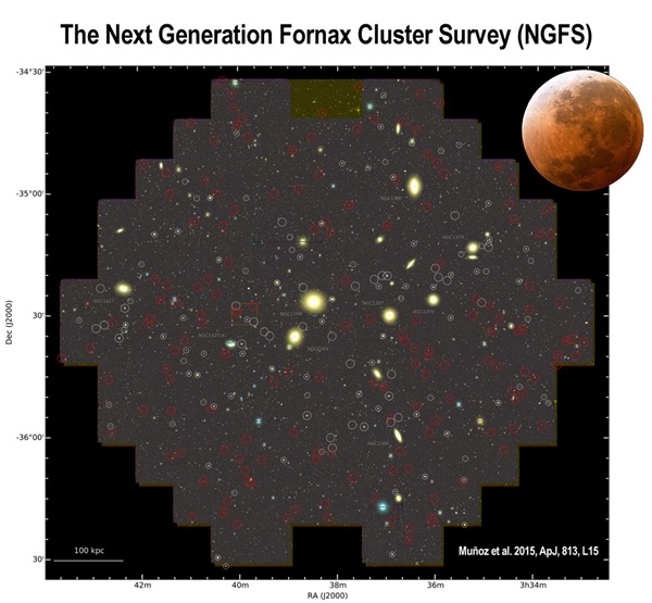 Next generation Fornax cluster survey