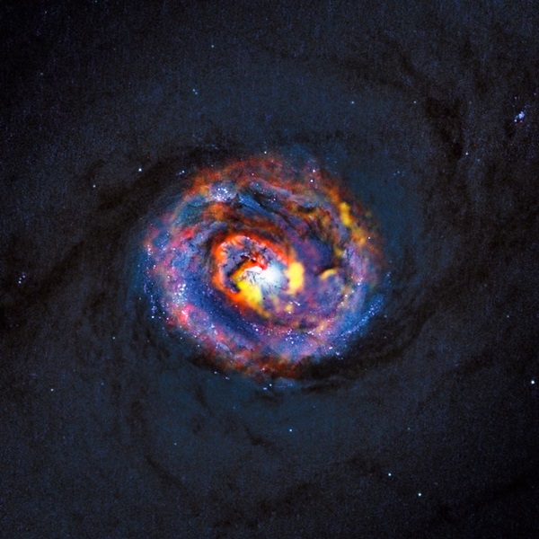 Galaxy NGC 1433