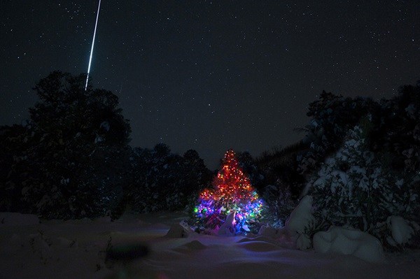Geminid fireball over Christmas tree