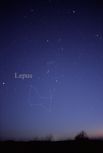 The constellation Lepus the Hare