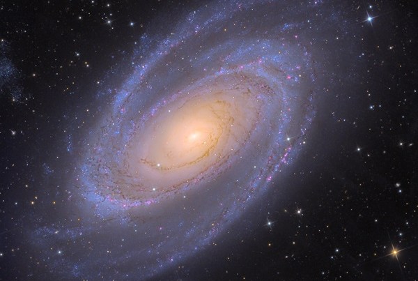 HST image of galaxy M81