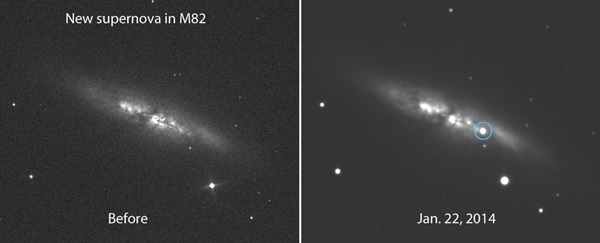 Supernova in M82