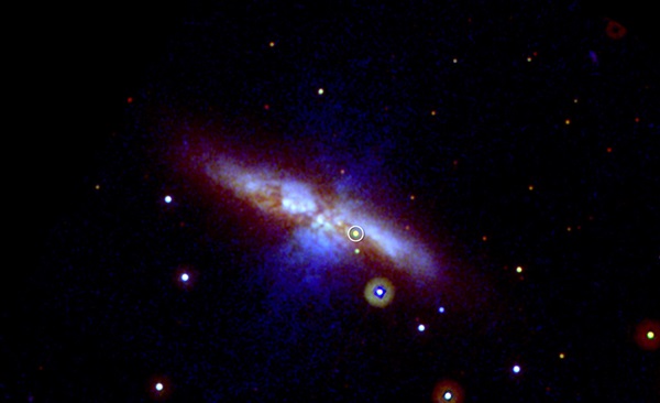 The Cigar Galaxy (M82) after Supernova 2014J (circled)
