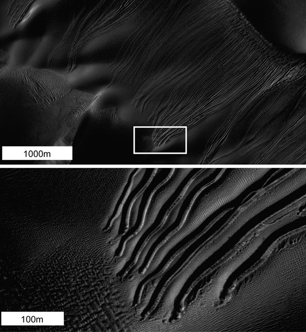Martian linear gullies caused by dry ice