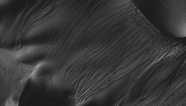 Martian linear gullies