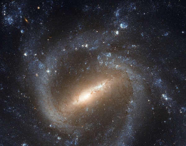 NGC-1073