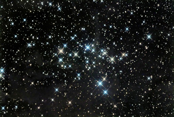Open cluster NGC 1342