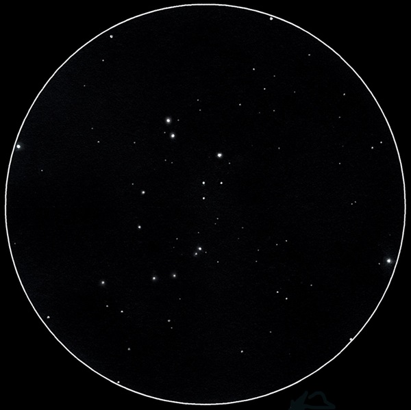 Open cluster NGC 1778