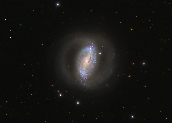 NGC3504