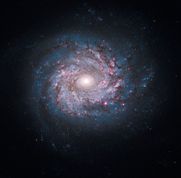 NGC3982