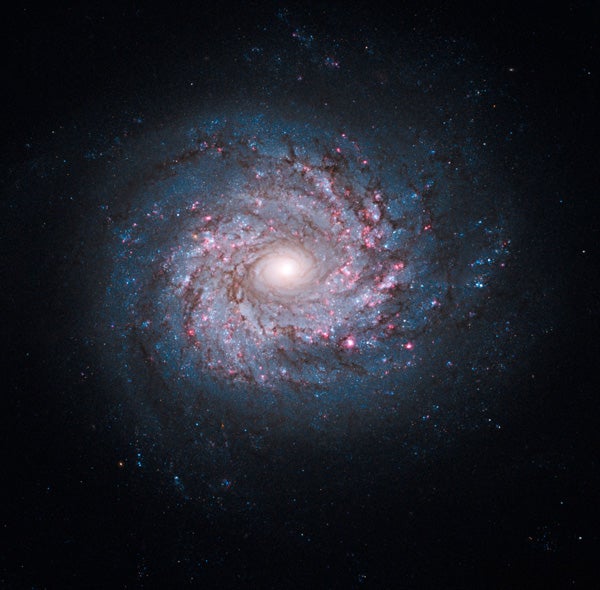 NGC3982