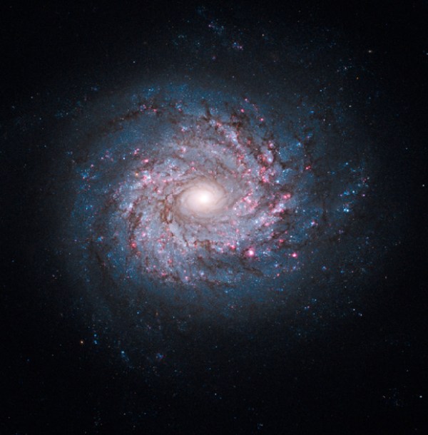NGC 3982