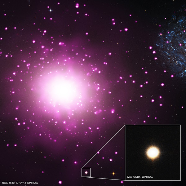 NGC 4649 and M60-UCD1