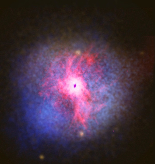 Multi-wavelength view of the elliptical galaxy NGC 5044.