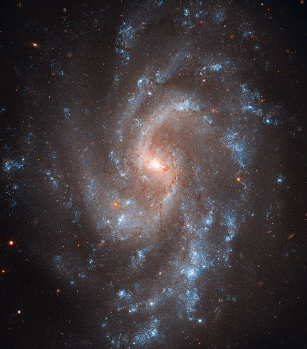 NGC5584
