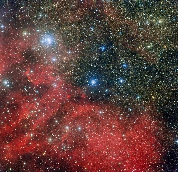 NGC6604