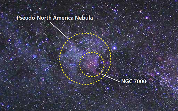 Pseudo-North America Nebula