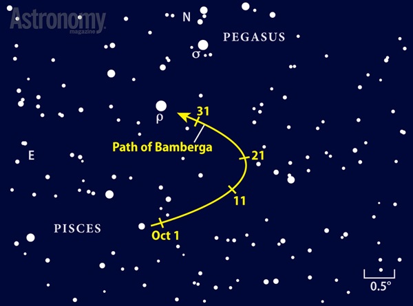 Path of Bamberga finder chart