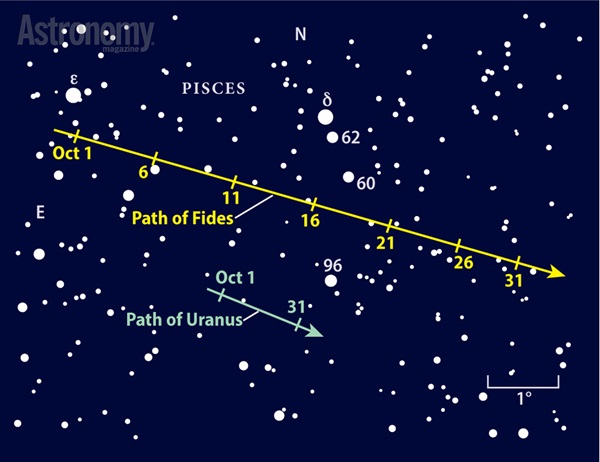 The 10th-magnitude asteroid Fides swims among the background stars of Pisces the Fish a couple of degrees away from 6th-magnitude Uranus.