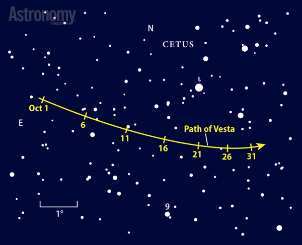 Use magnitude 3.5 Iota (ι) Ceti to home in on Vesta, the most obvious point of light just south of this star during the latter part of October.