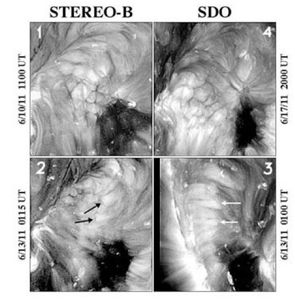 SDO-STEREO-coronal-cells