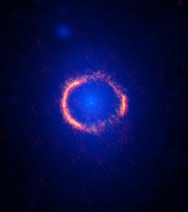 Composite image of SDP.81