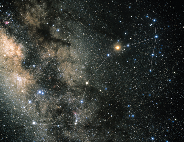 Scorpius