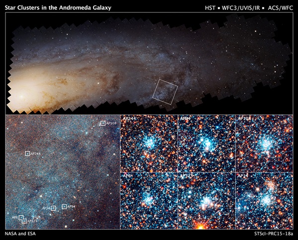 Stars and star clusters in the Andromeda Galaxy
