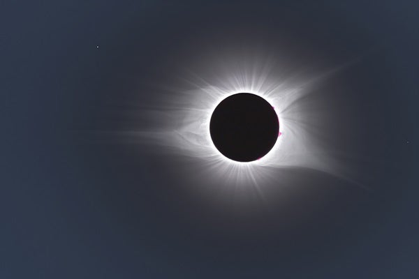 TSEwithcorona
