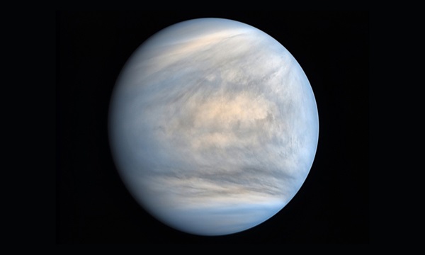 Venus1