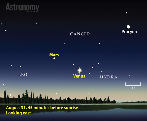 The predawn sky comes alive with planets in late August. Both Venus and Mars emerge from the Sun's glare to start long morning apparitions.