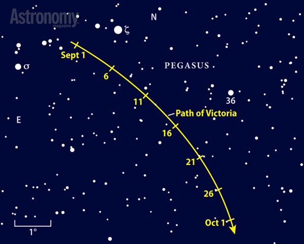 Asteroid 12 Victoria