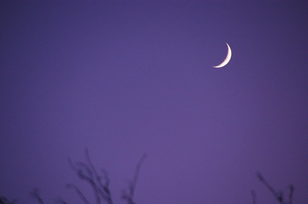 Waxing_Crescent_Moon__geograph.org.uk__1627064