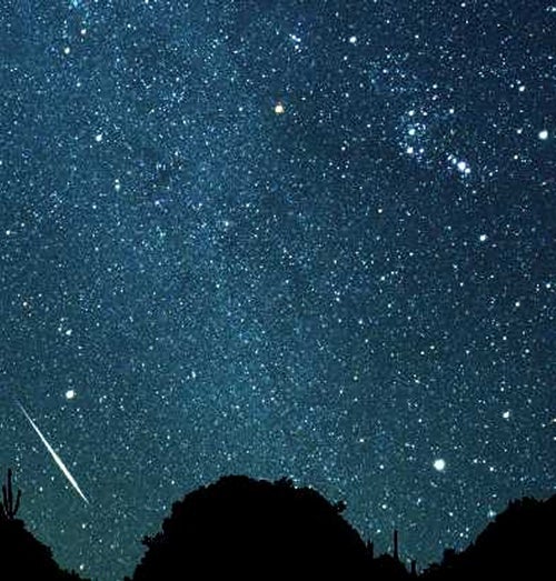 A bright Geminid fireball lights up the sky above Organ Pipe Cactus National Monument, Arizona