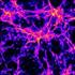 The Early Cosmic Web