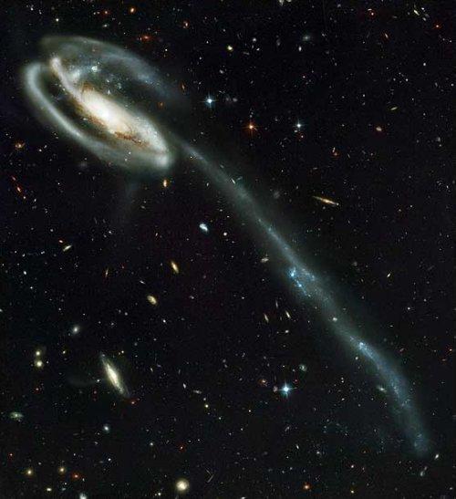 "Tadpole" Galaxy UGC 10214